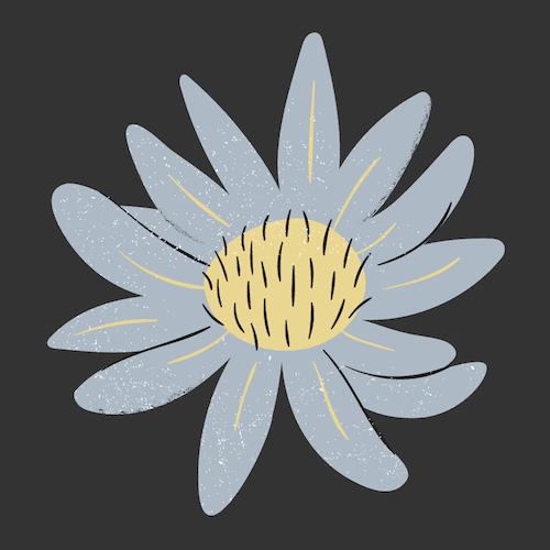 Aster Flower Logo